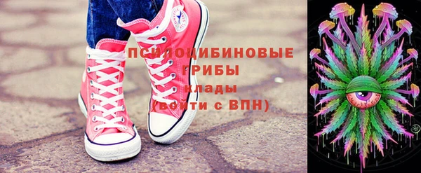 гидра Горно-Алтайск