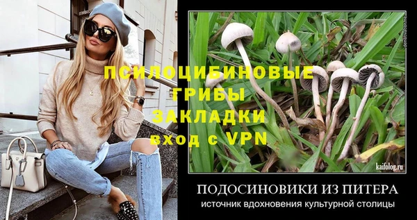 гашик Вязьма